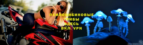 spice Аркадак