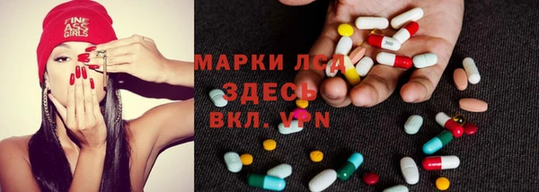 spice Аркадак