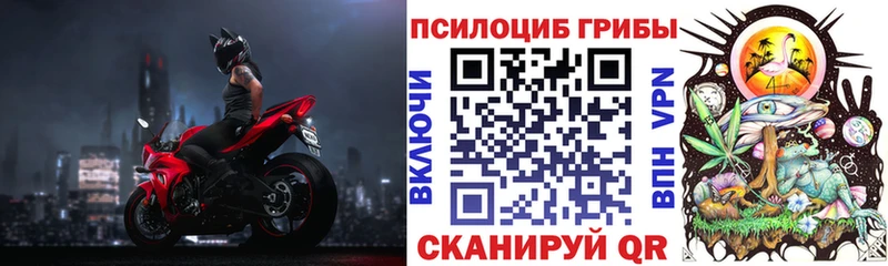Псилоцибиновые грибы Psilocybe hydra маркетплейс Елабуга где найти наркотики