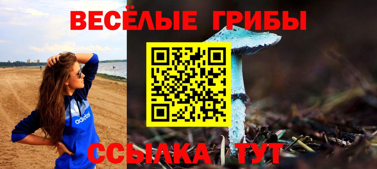 Галлюциногенные грибы GOLDEN TEACHER  Вход с VPN  Елабуга 